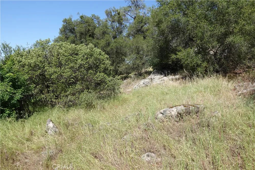 RUNNING DEER WAY Coarsegold, CA 93614