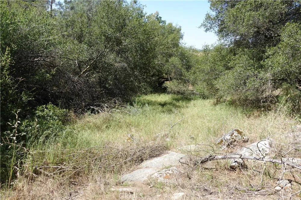 RUNNING DEER WAY Coarsegold, CA 93614