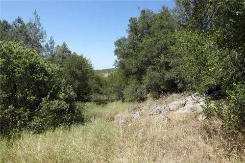 RUNNING DEER WAY