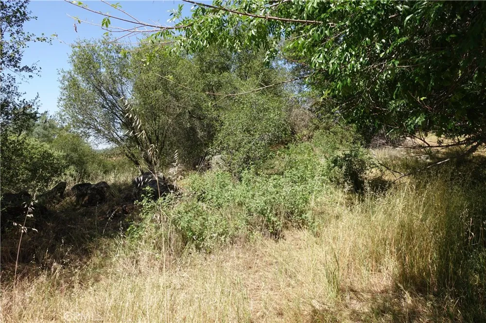RUNNING DEER WAY Coarsegold, CA 93614