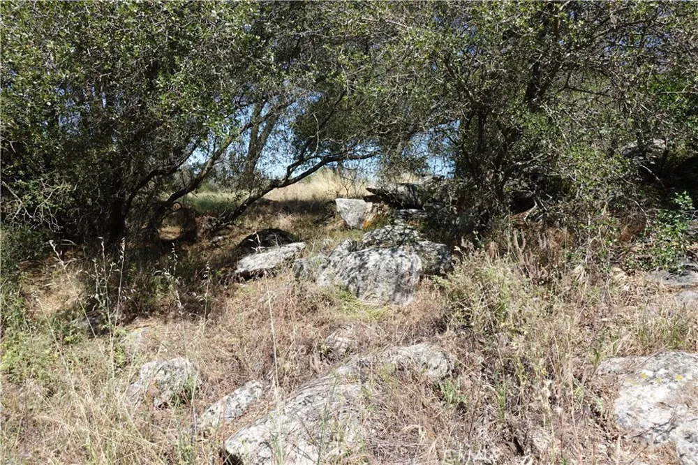 RUNNING DEER WAY Coarsegold, CA 93614