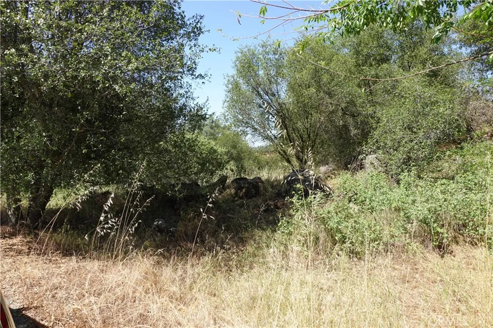 RUNNING DEER WAY Coarsegold, CA 93614
