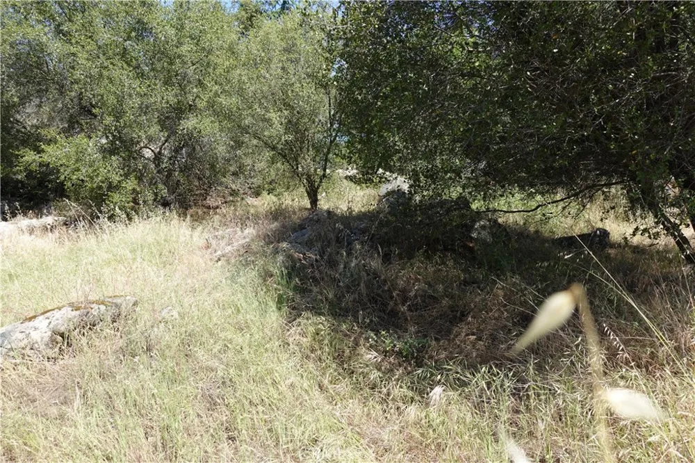 RUNNING DEER WAY Coarsegold, CA 93614
