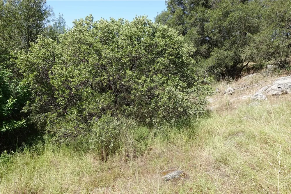 RUNNING DEER WAY Coarsegold, CA 93614