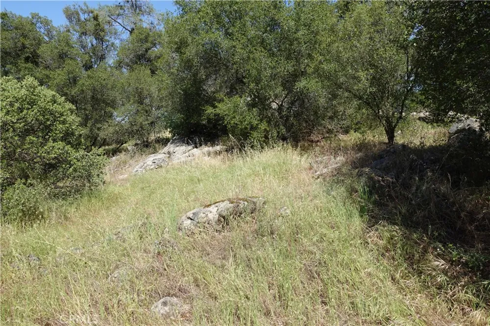 RUNNING DEER WAY Coarsegold, CA 93614