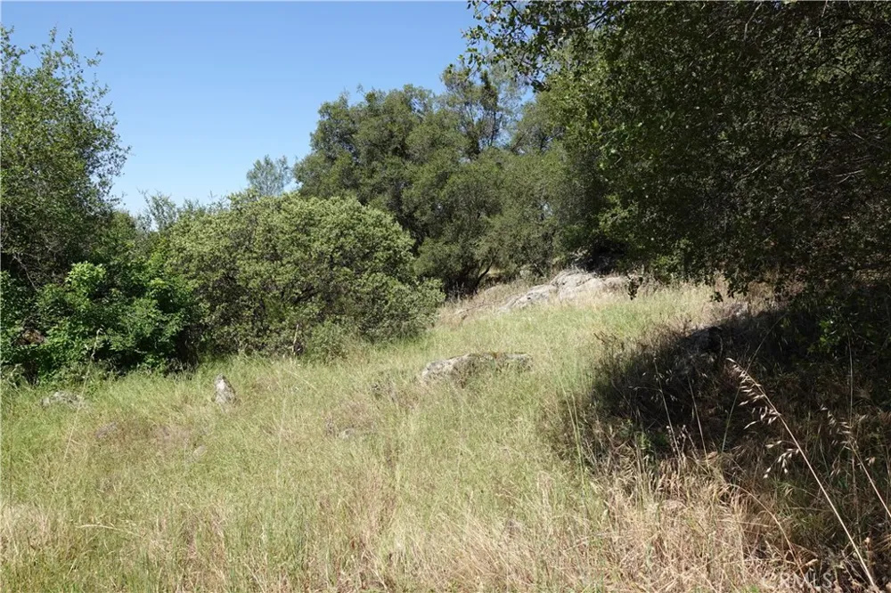 RUNNING DEER WAY Coarsegold, CA 93614