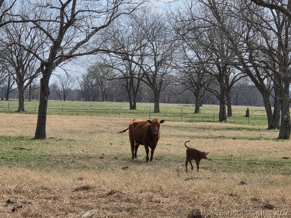 36257 S 4190 ROAD Inola, OK 74036