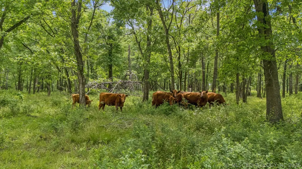 36257 S 4190 ROAD Inola, OK 74036