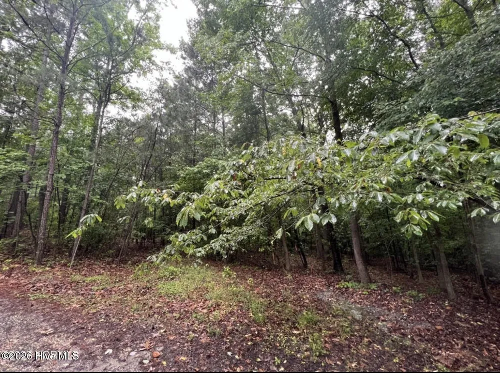 Tbd Buggy Drive W Carthage, NC 28327