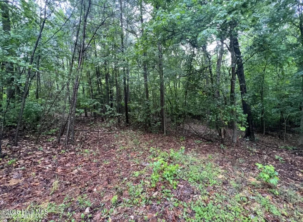Tbd Buggy Drive W Carthage, NC 28327