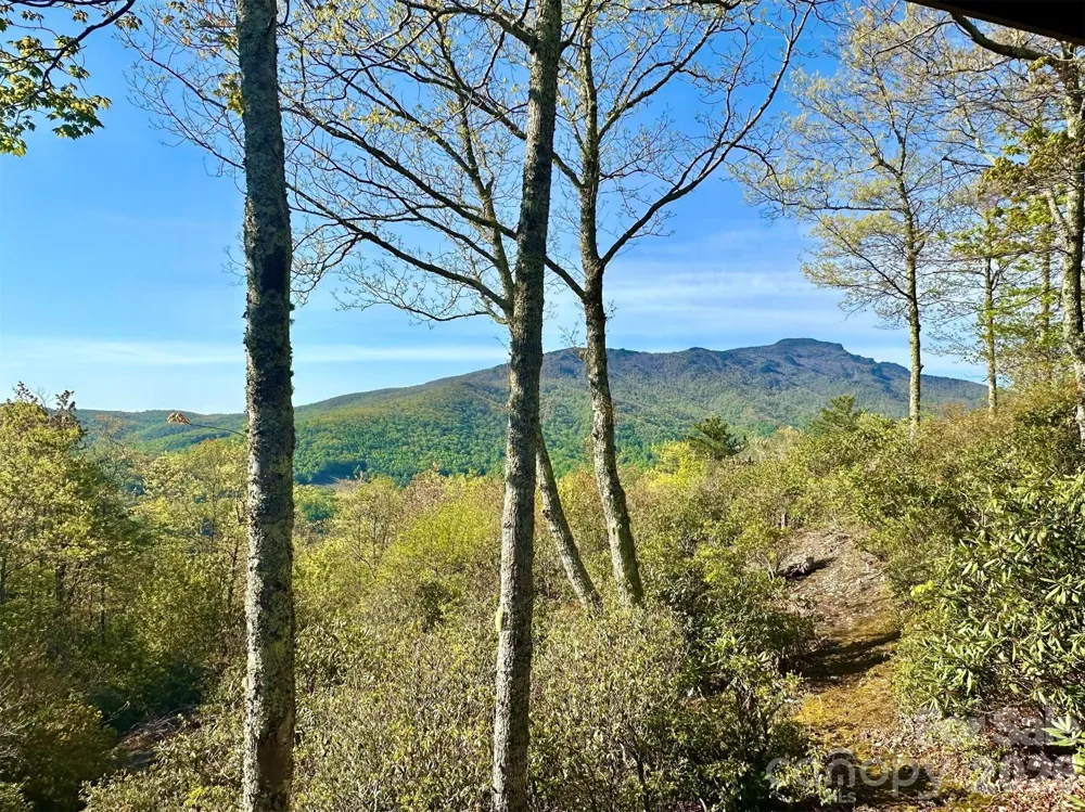 165 Little Boulder Lane Seven Devils, NC 28604