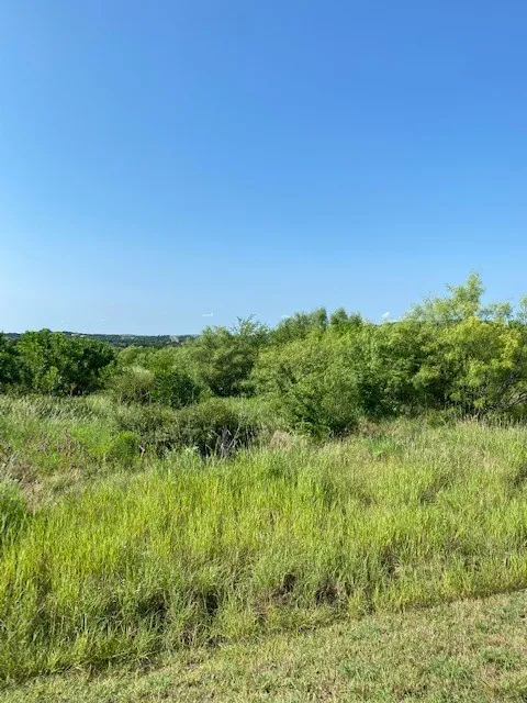 Evening Primrose Drive Possum Kingdom Lake, TX 76449