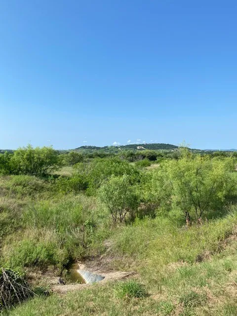 Evening Primrose Drive Possum Kingdom Lake, TX 76449