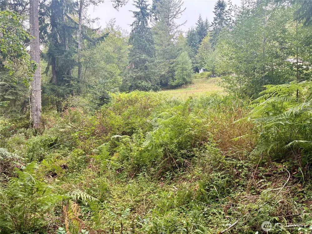 52914 131st Ave E Eatonville, WA 98328