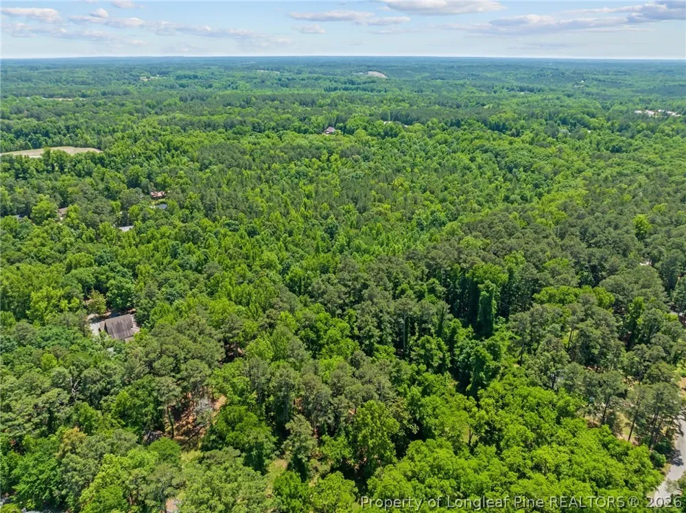 Buggy Drive W Carthage, NC 28327