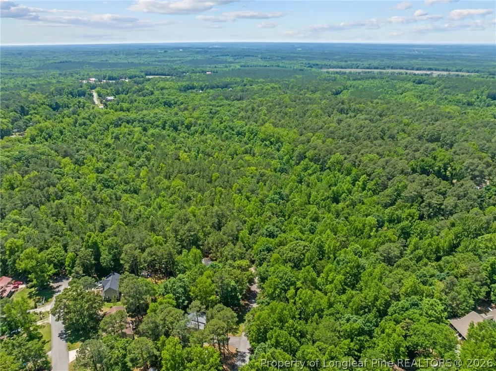 Buggy Drive W Carthage, NC 28327