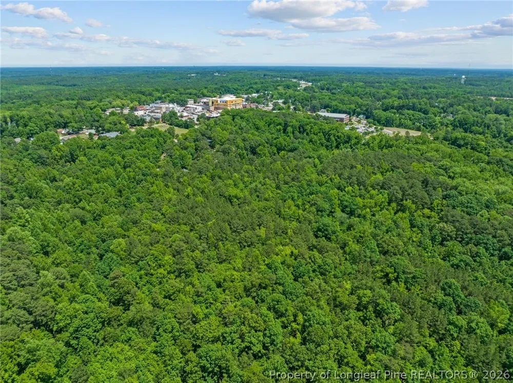 Buggy Drive W Carthage, NC 28327