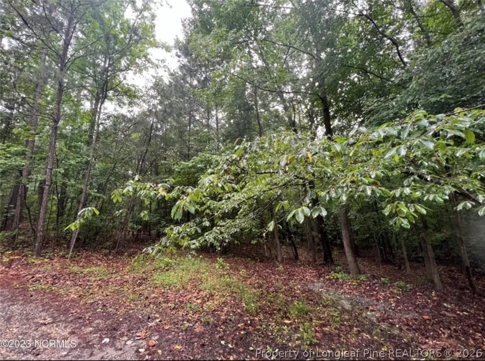 Buggy Drive W Carthage, NC 28327