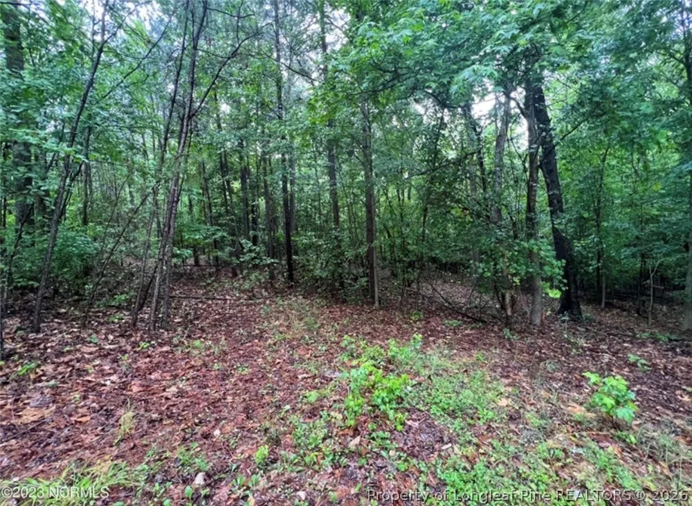 Buggy Drive W Carthage, NC 28327