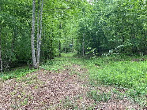 00 Kiser Road