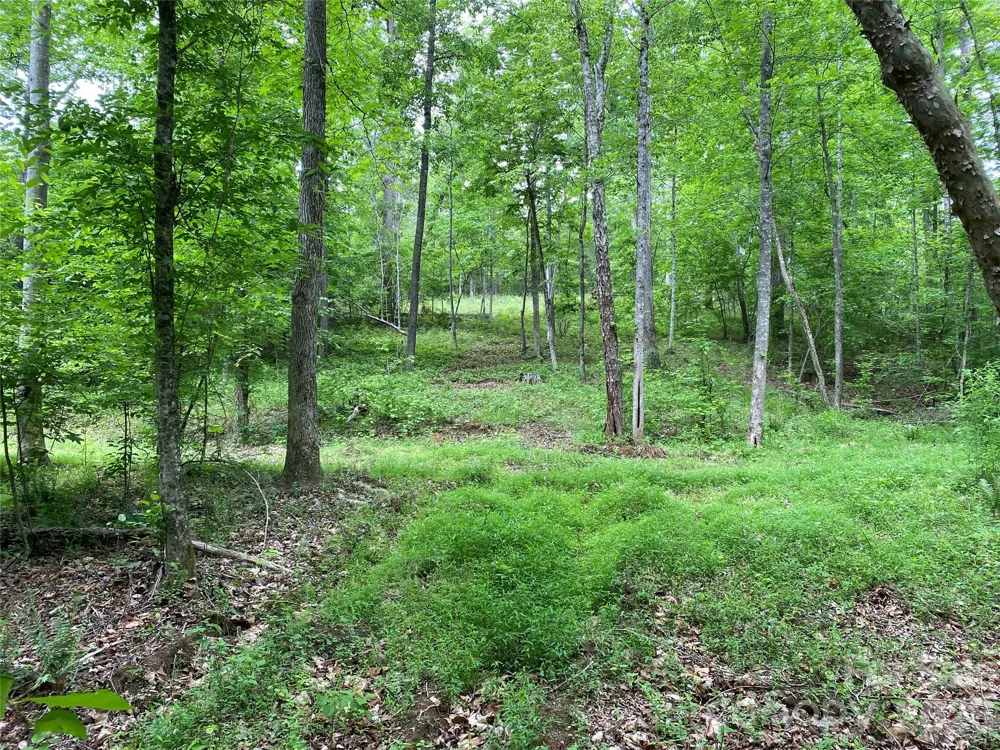 00 Kiser Road Bostic, NC 28018