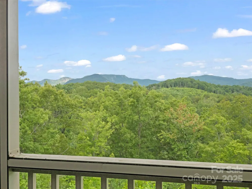 148 Red Hawk Knoll #12 Lake Lure, NC 28746