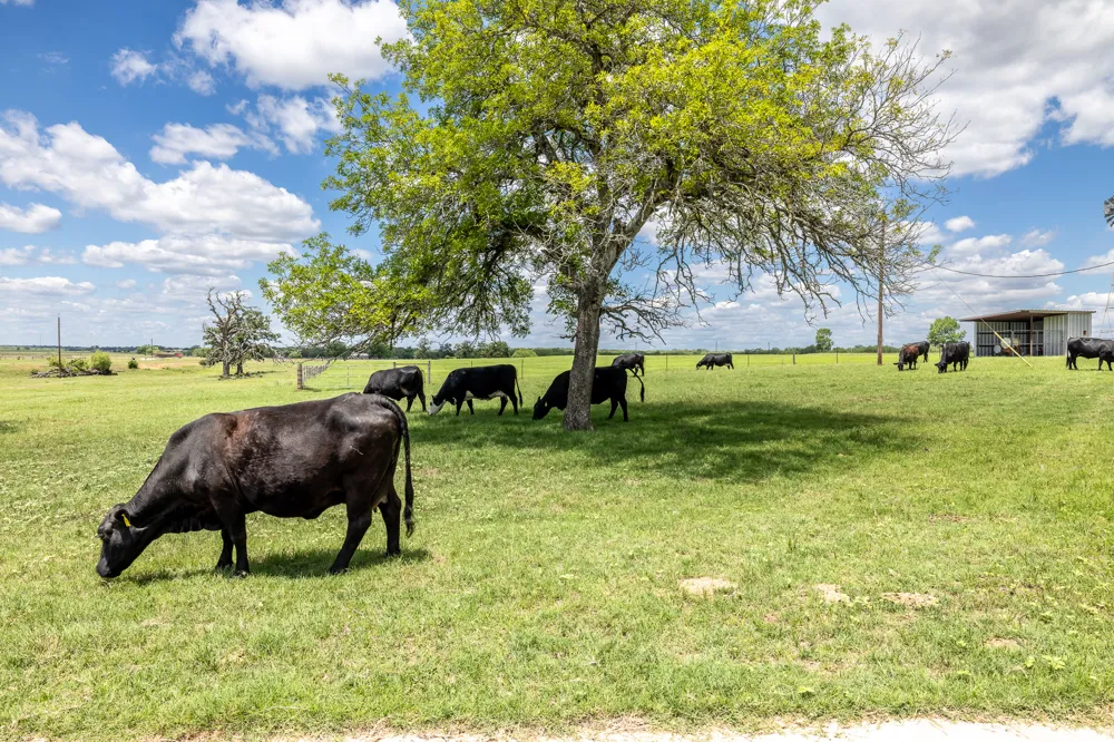 6589 State Highway 304 Harwood, TX 78632