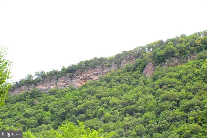 107 TROUT LANE Cabins, WV 26855