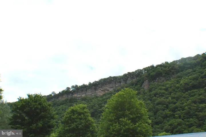 107 TROUT LANE Cabins, WV 26855