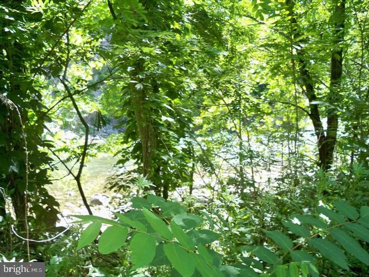 107 TROUT LANE Cabins, WV 26855