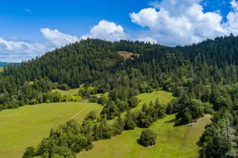 Reed Mountain Road