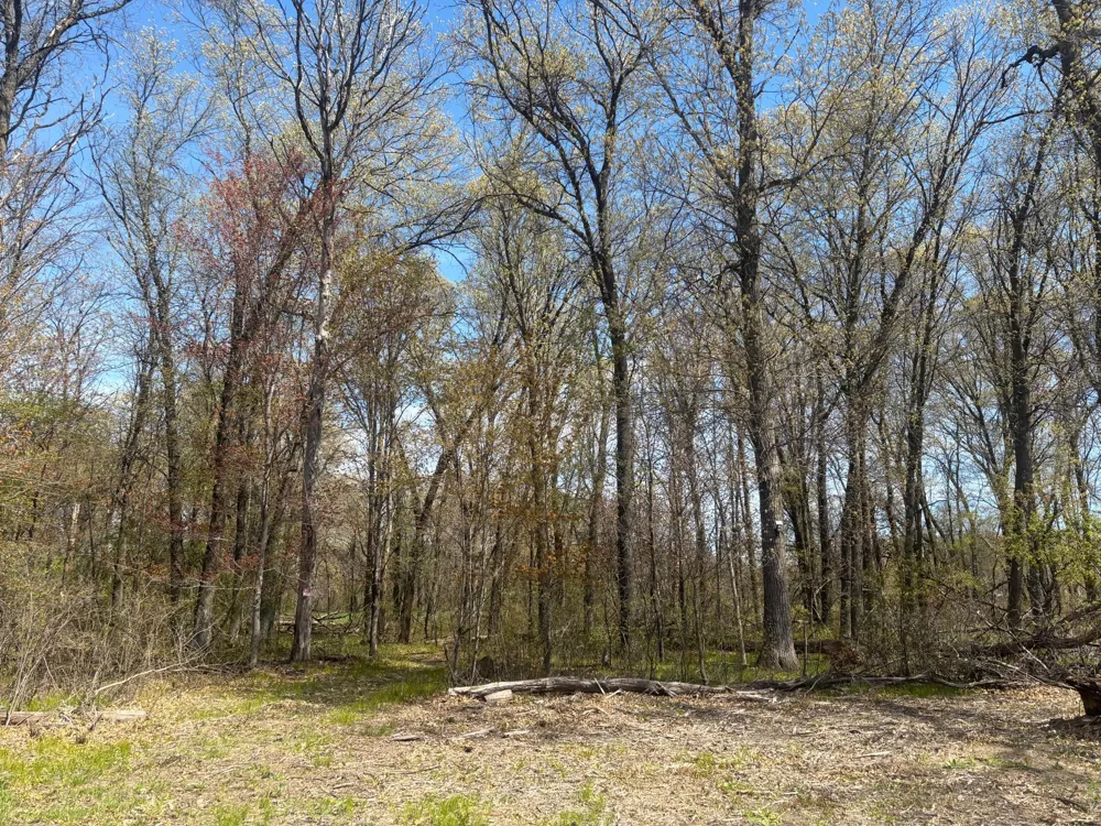 TBD 151st Street NW Princeton, MN 55371