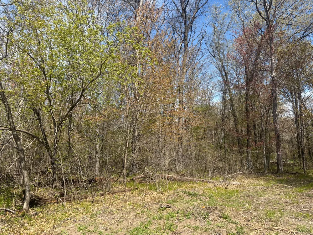 TBD 151st Street NW Princeton, MN 55371