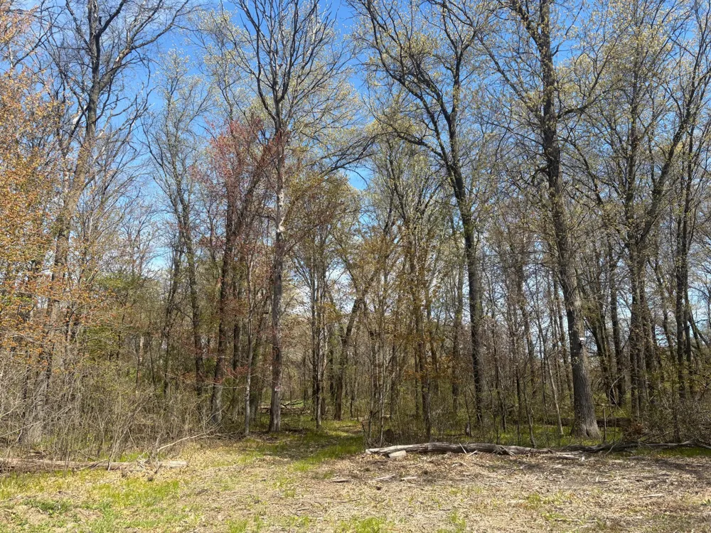TBD 151st Street NW Princeton, MN 55371