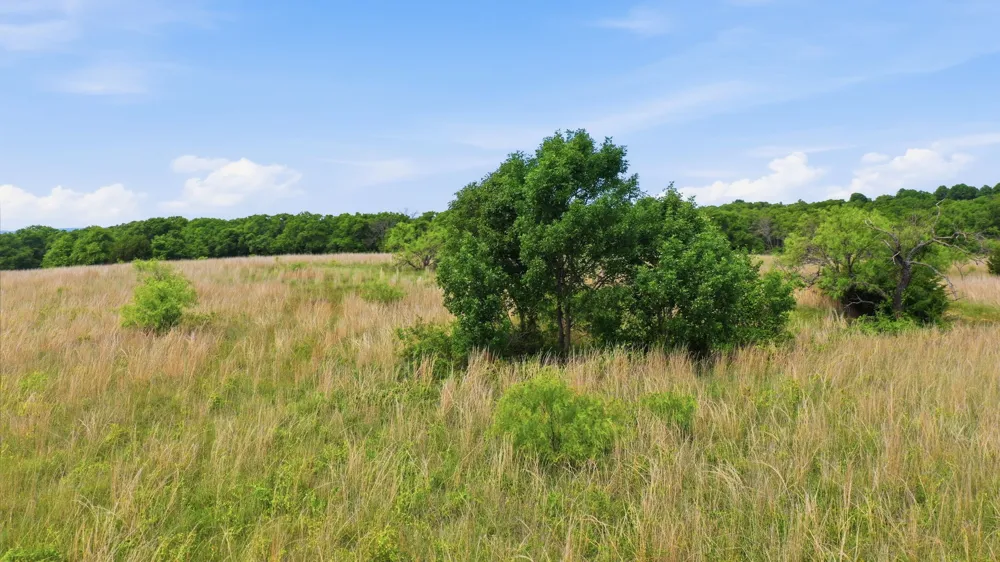 2050 Mustang Ridge Perrin, TX 76486