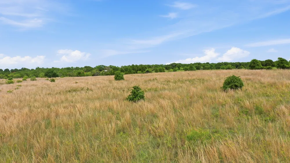 2050 Mustang Ridge Perrin, TX 76486
