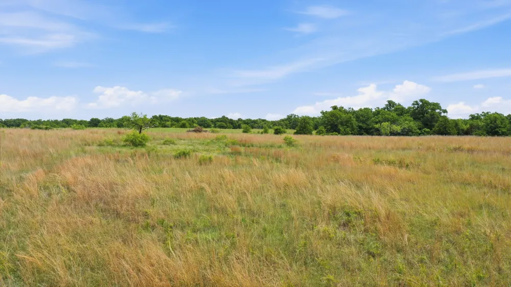 2050 Mustang Ridge Perrin, TX 76486