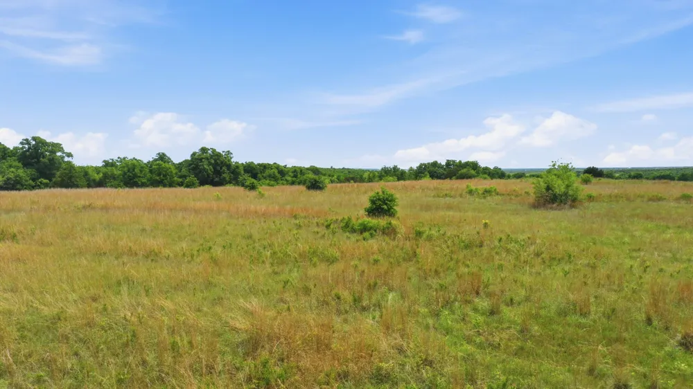 2050 Mustang Ridge Perrin, TX 76486