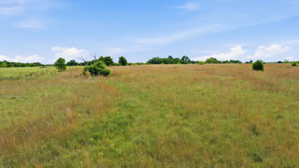 2050 Mustang Ridge Perrin, TX 76486