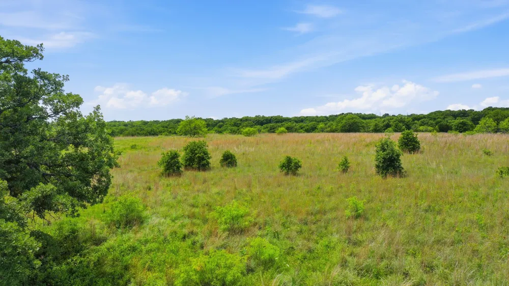2050 Mustang Ridge Perrin, TX 76486
