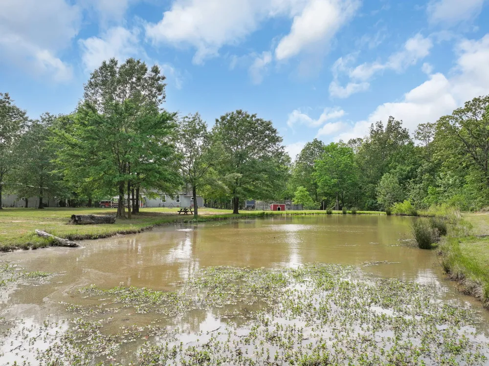 2640 County Road 1030 NW Mount Vernon, TX 75457