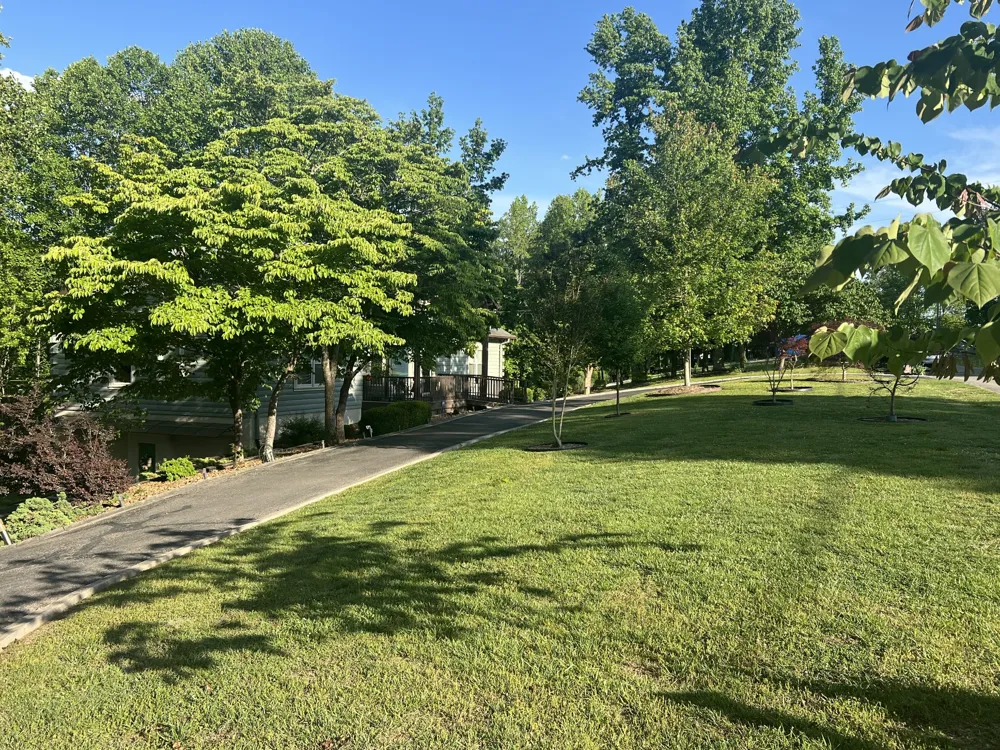 187 Rigsbys Rdg Lynchburg, TN 37352