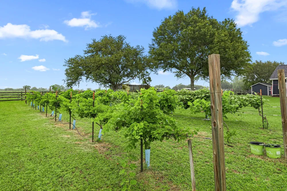 16720 Fm 1164 Road East Bernard, TX 77435