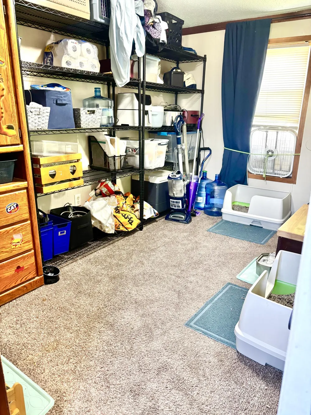 1194 W Grey Court Barry Township, MI 49348