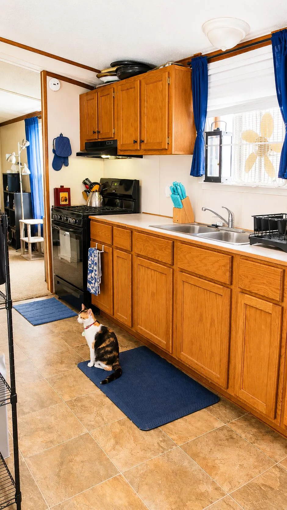 1194 W Grey Court Barry Township, MI 49348