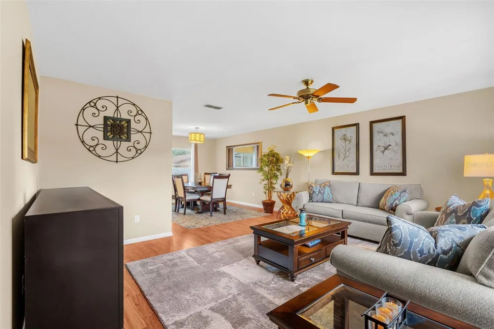 4029 BELL GRANDE DRIVE Valrico, FL 33596