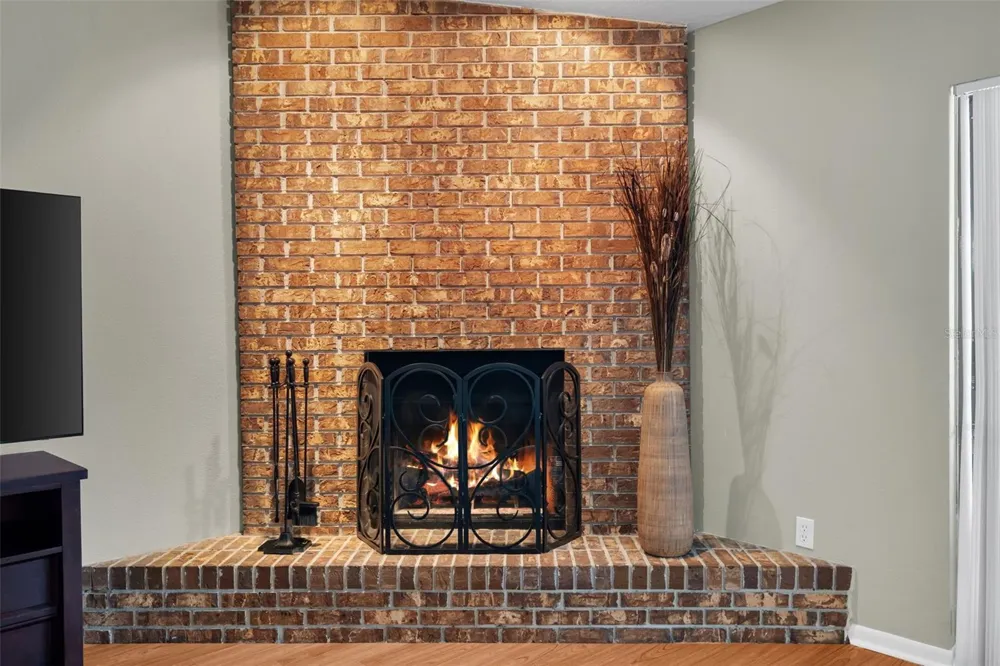 4029 BELL GRANDE DRIVE Valrico, FL 33596