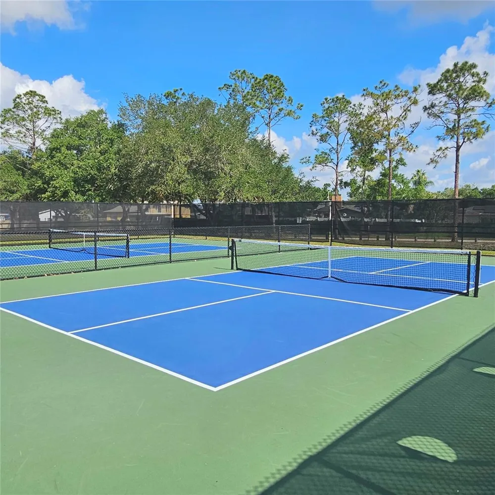 4029 BELL GRANDE DRIVE Valrico, FL 33596