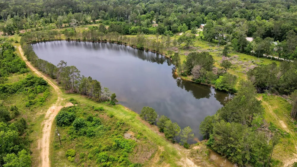 12520 Us-59 S Shepherd, TX 77371
