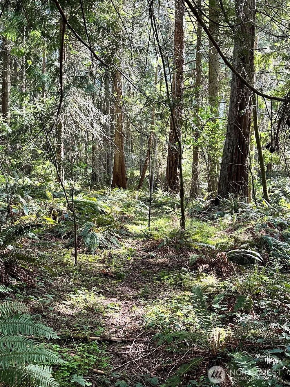 0 Lot 31 NW Lakeness Poulsbo, WA 98370